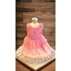 Bonnie Jean Exclusive Toddler Girls Pink Rosette Tulle Tiered Party Dress 2T